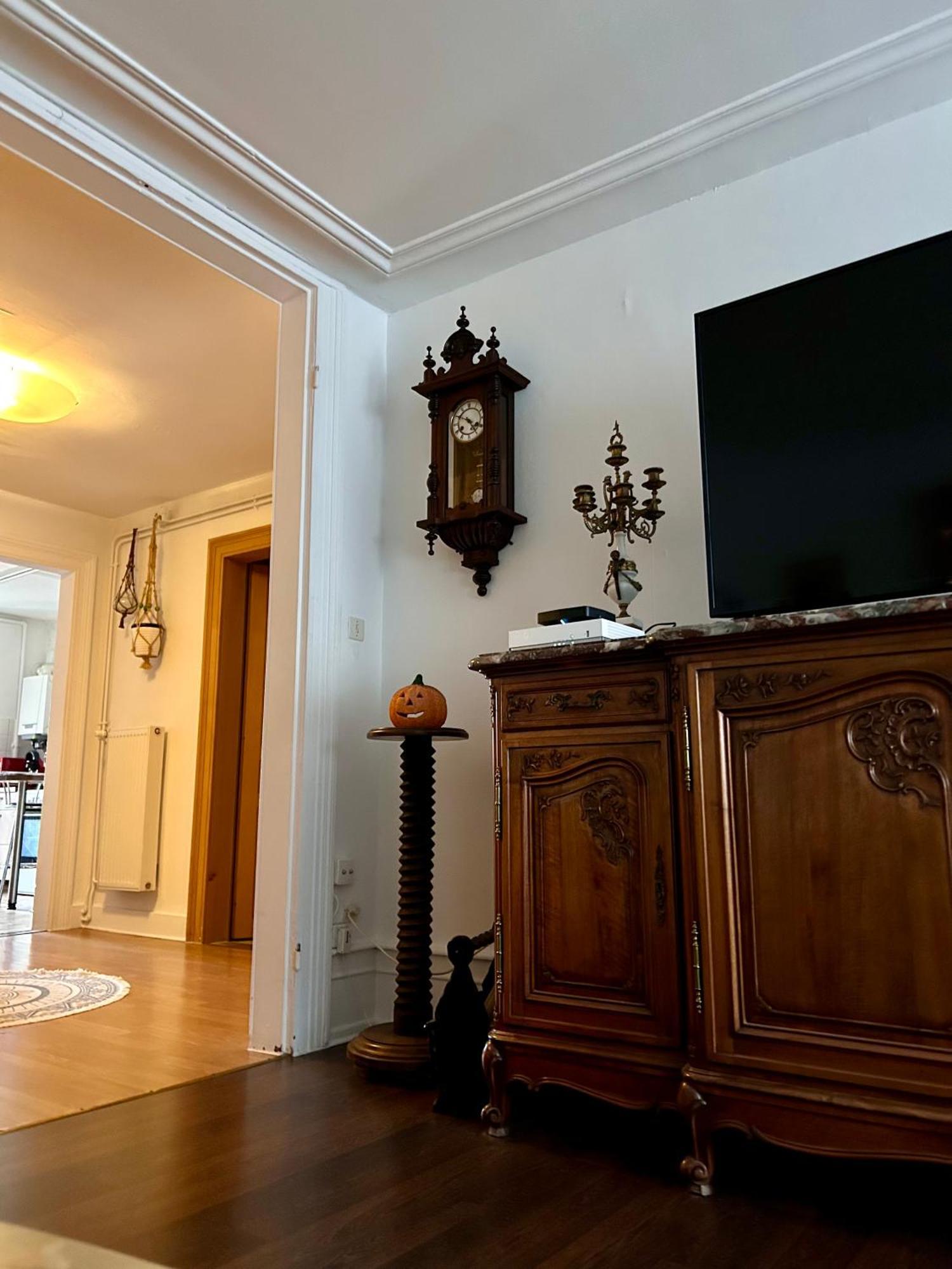 Spacious Apartment City Centre Strazburg Dış mekan fotoğraf